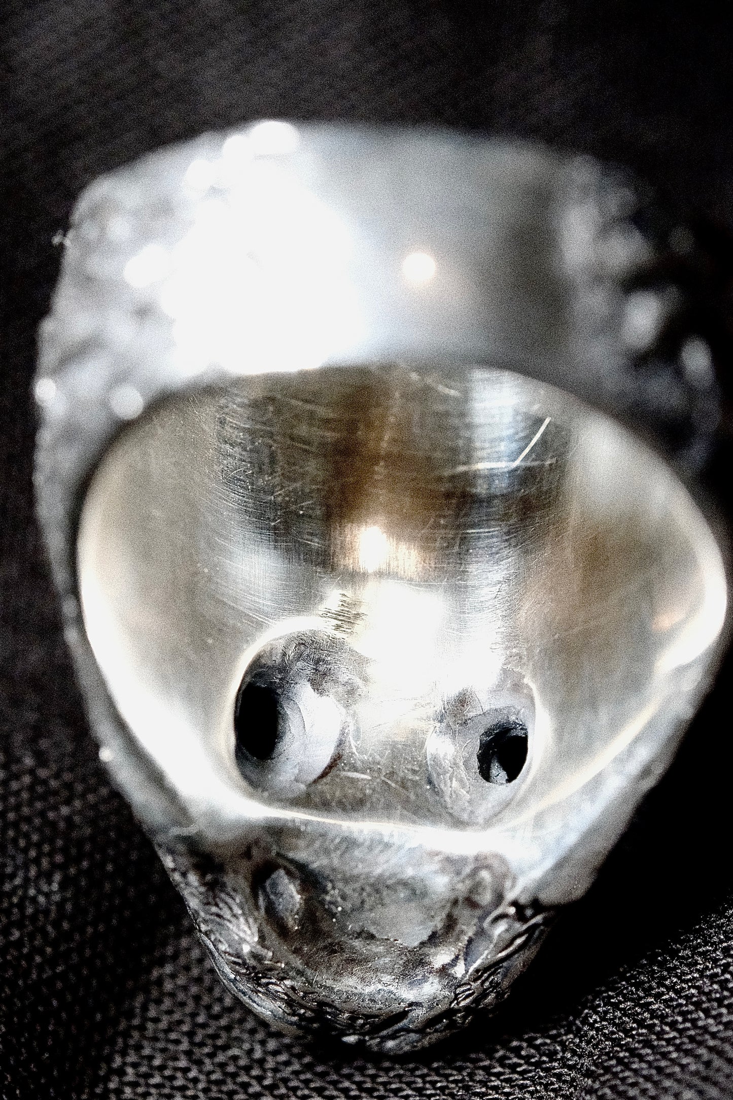 Ritual Skull Ring (Prototype)